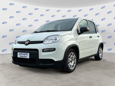 Fiat Panda 1.0 firefly hybrid s&amp;s 70cv 5p.ti del 2023 usata a Lucca