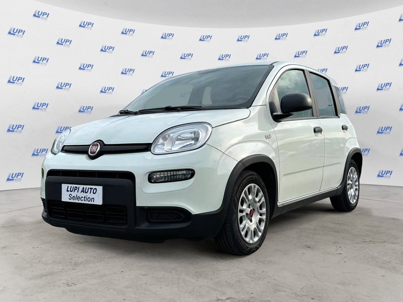 Fiat Panda usata a Lucca
