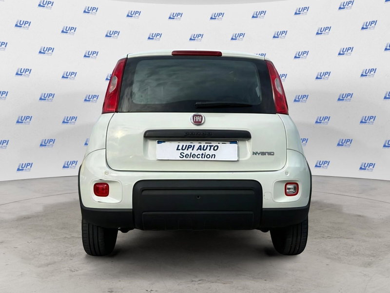 Fiat Panda usata a Lucca (2)
