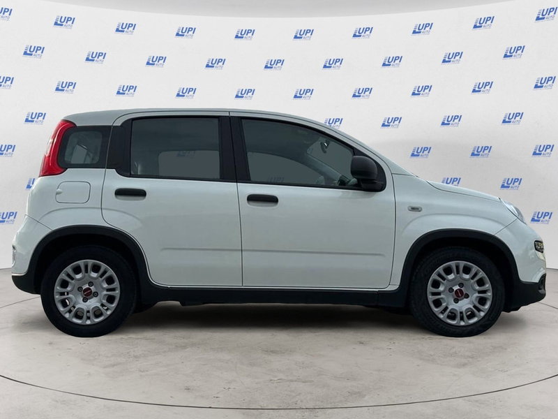 Fiat Panda usata a Lucca (3)