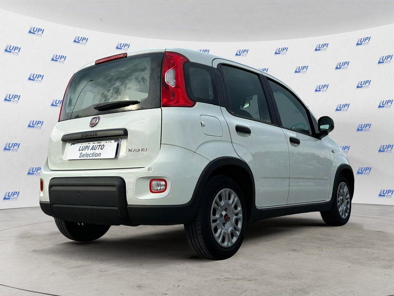 Fiat Panda usata a Lucca (4)