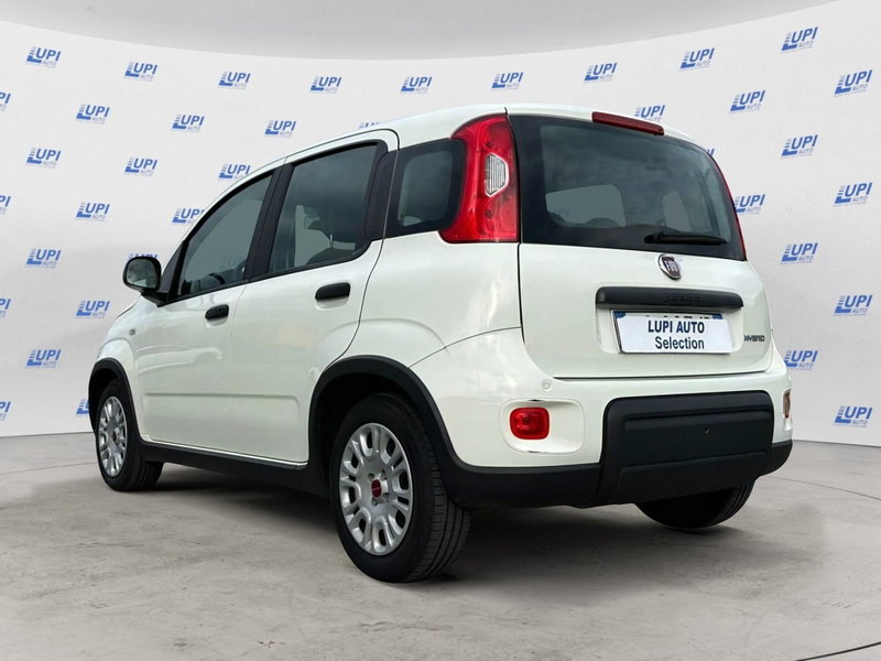 Fiat Panda usata a Lucca (5)