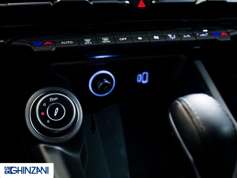 Alfa Romeo Tonale usata a Bergamo (15)