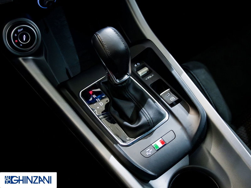 Alfa Romeo Tonale usata a Bergamo (16)