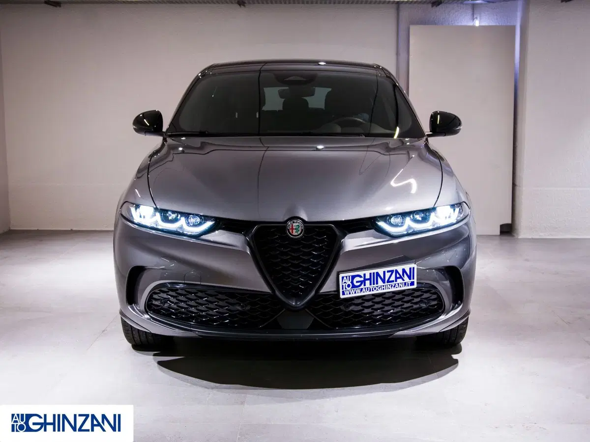 Alfa Romeo Tonale usata a Bergamo (4)