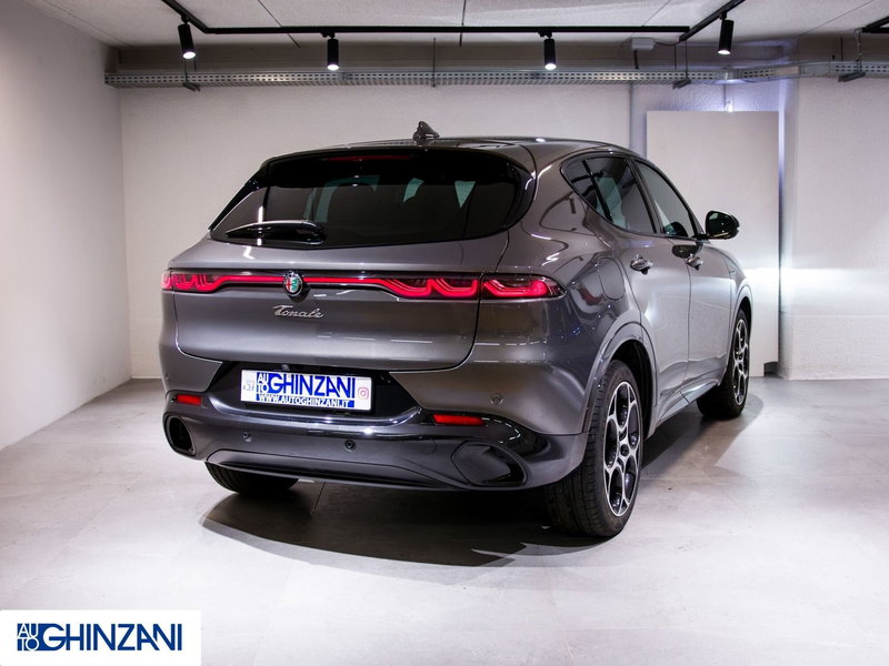 Alfa Romeo Tonale usata a Bergamo (8)