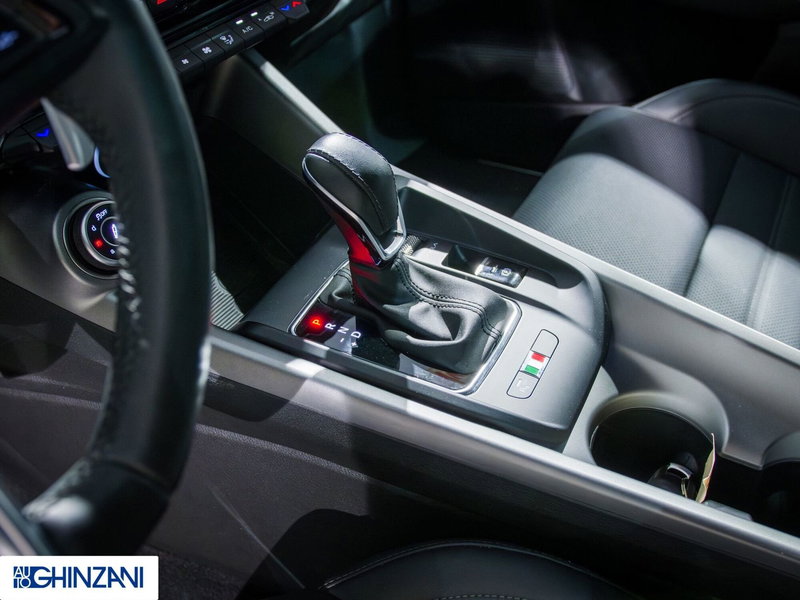 Alfa Romeo Tonale usata a Bergamo (16)