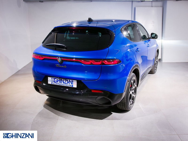 Alfa Romeo Tonale usata a Bergamo (8)