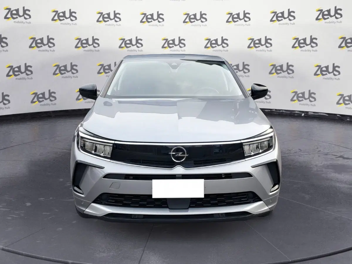 Opel Grandland usata a Bologna (2)