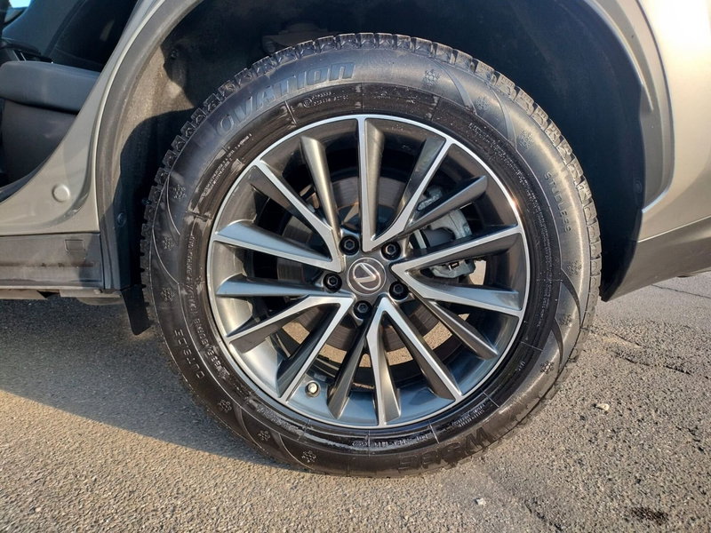 Lexus NX usata a Modena (14)