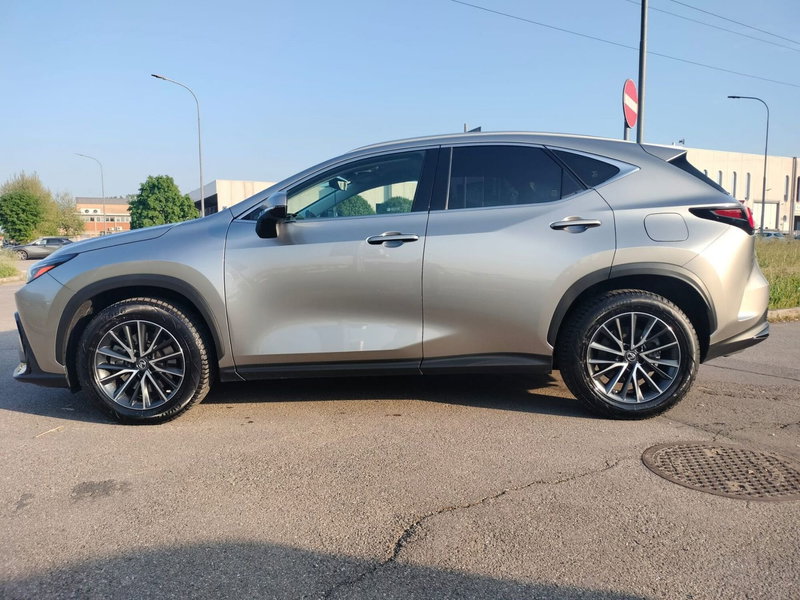 Lexus NX usata a Modena (3)