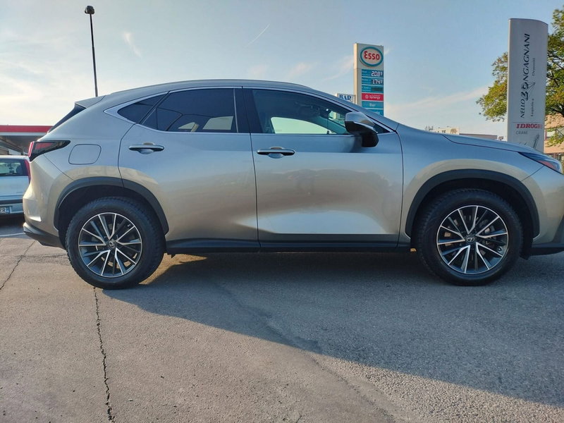 Lexus NX usata a Modena (4)