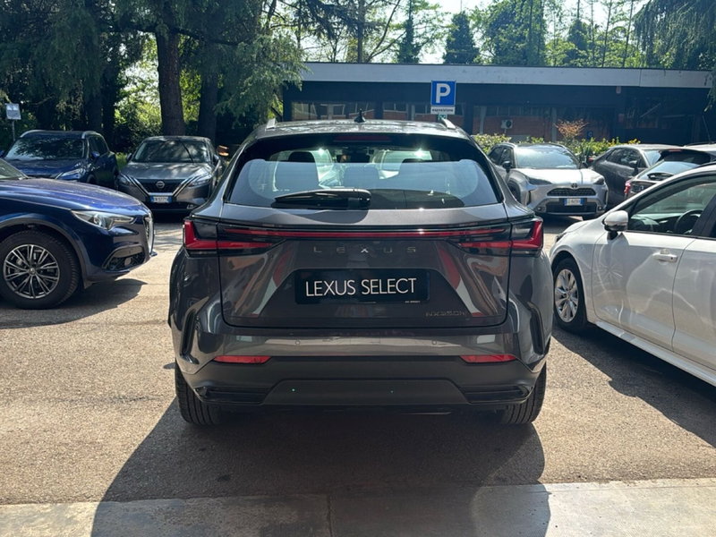 Lexus NX usata a Bologna (4)