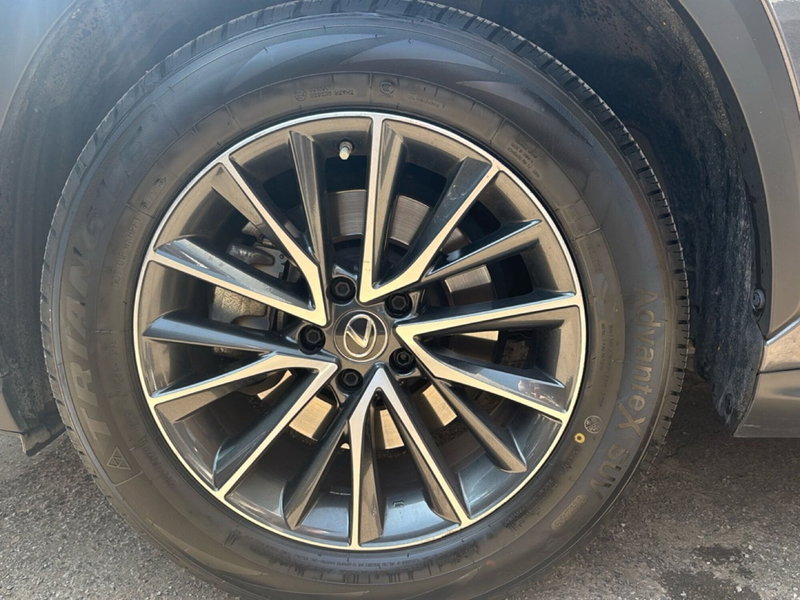 Lexus NX usata a Bologna (7)