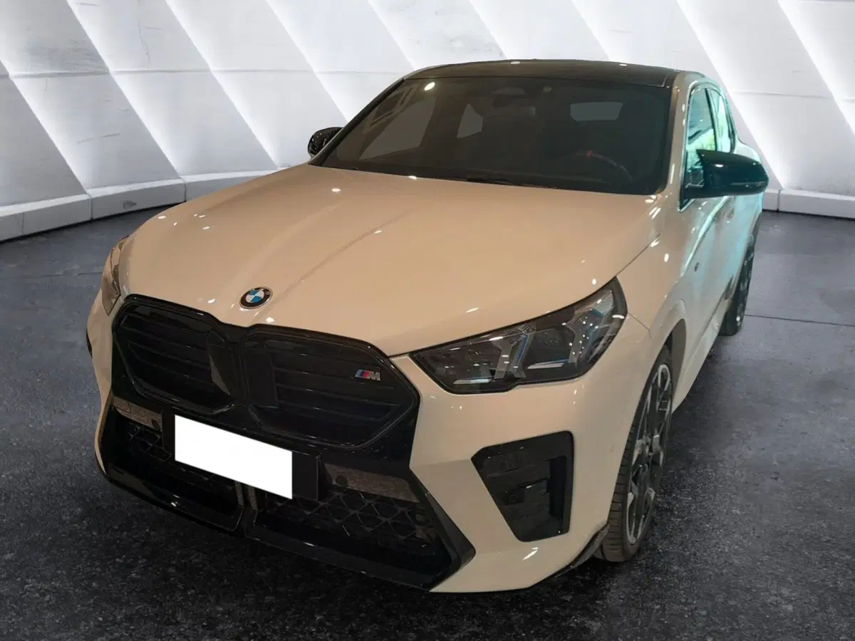 BMW X2 usata a Asti