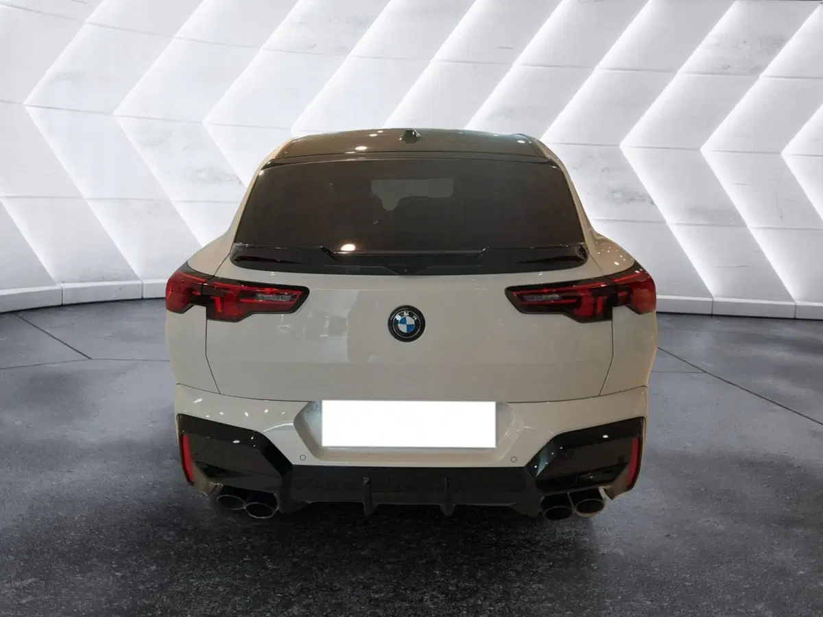 BMW X2 usata a Asti (6)