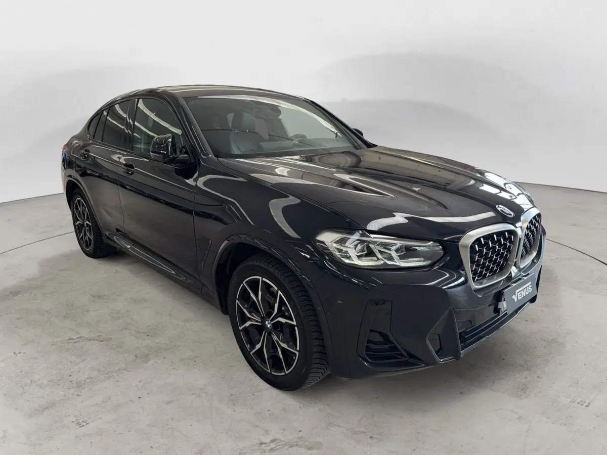 BMW X4 usata a Milano (16)