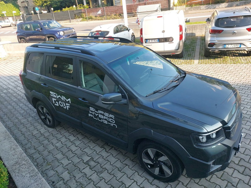 SWM G03F usata a Brescia (10)