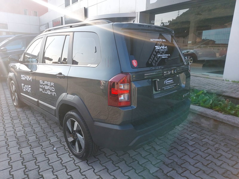 SWM G03F usata a Brescia (6)