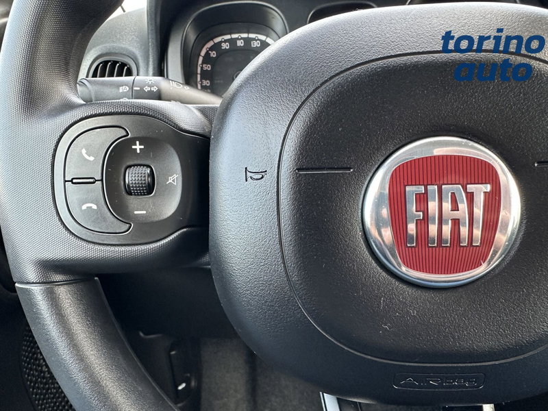 Fiat Panda Cross usata a Torino (16)
