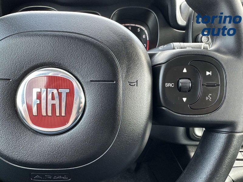 Fiat Panda Cross usata a Torino (17)