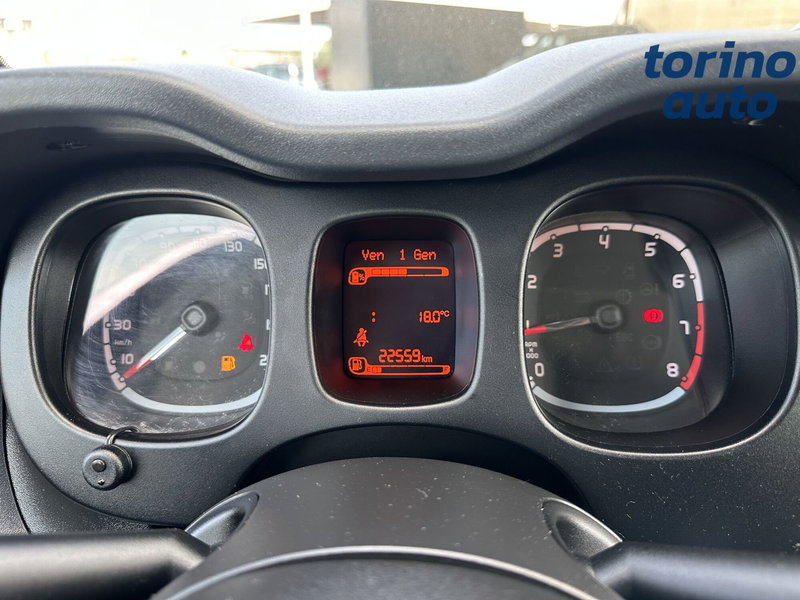 Fiat Panda Cross usata a Torino (18)