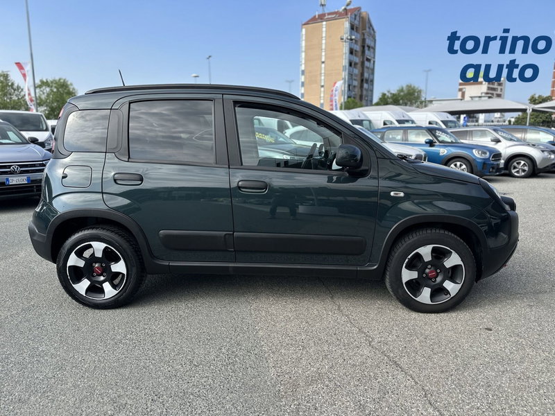 Fiat Panda Cross usata a Torino (8)