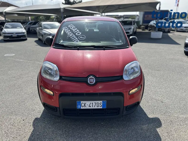 Fiat Panda usata a Torino (2)