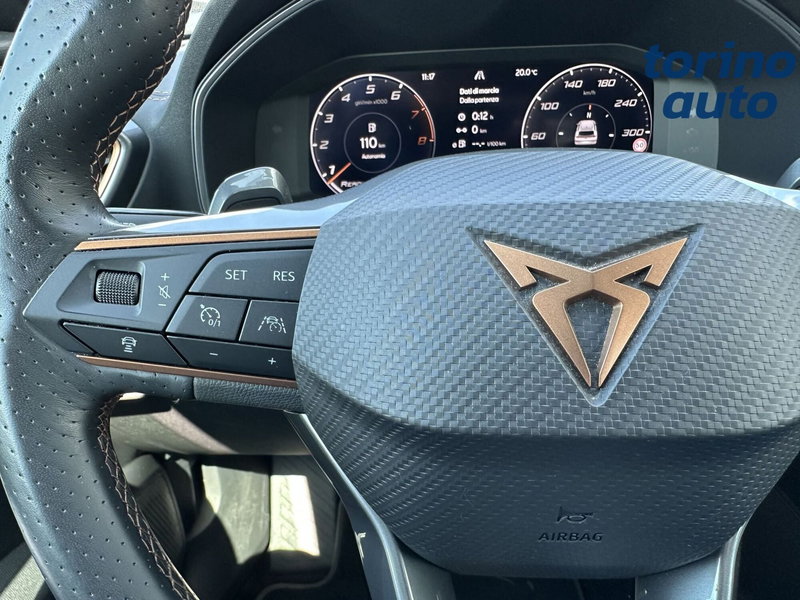 Cupra Formentor usata a Torino (19)