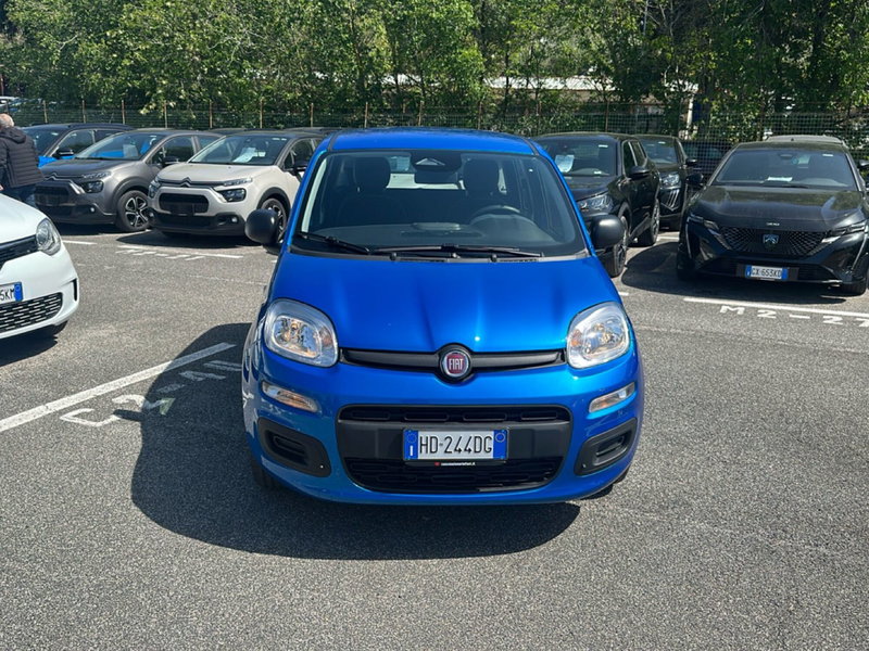 Fiat Pandina nuova a Roma (7)