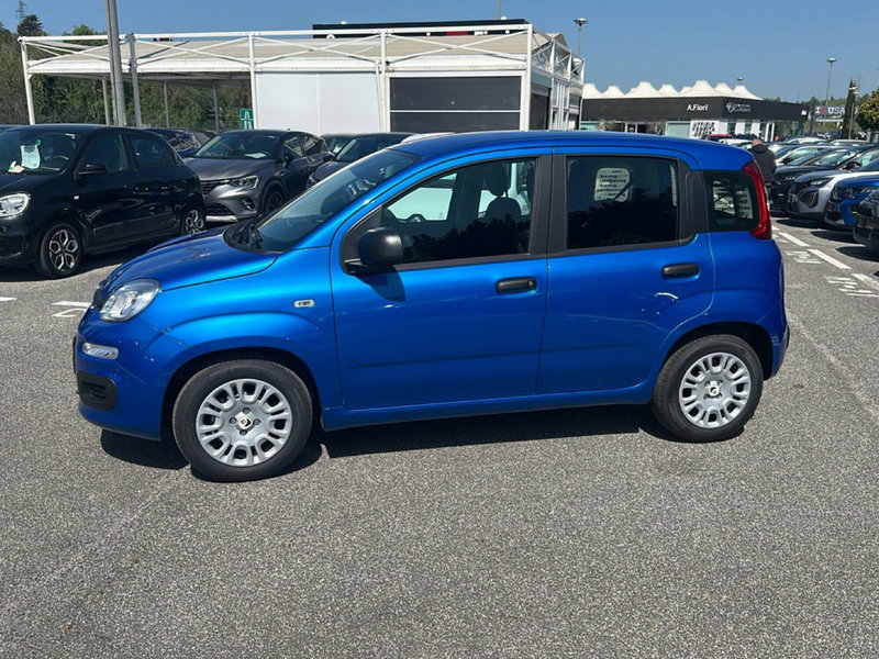 Fiat Pandina nuova a Roma (8)