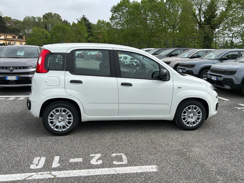 Fiat Pandina nuova a Roma (6)