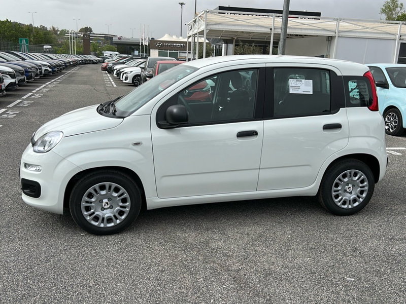 Fiat Pandina nuova a Roma (8)