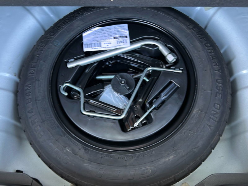 Fiat Pandina nuova a Roma (11)