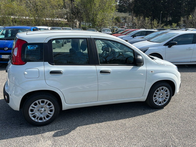 Fiat Pandina nuova a Roma (6)