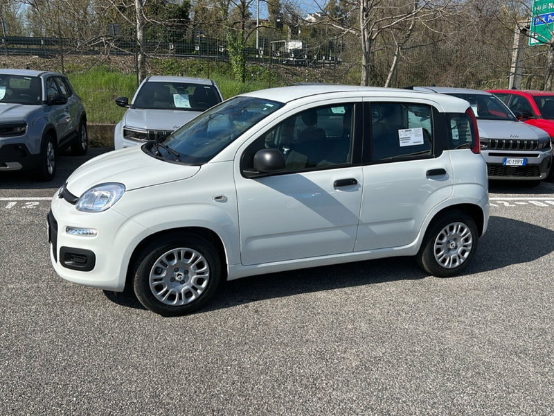 Fiat Pandina nuova a Roma (8)