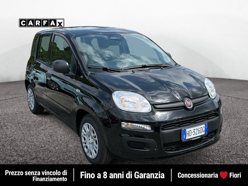 Fiat Pandina nuova a Roma (2)