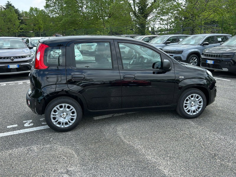 Fiat Pandina nuova a Roma (6)