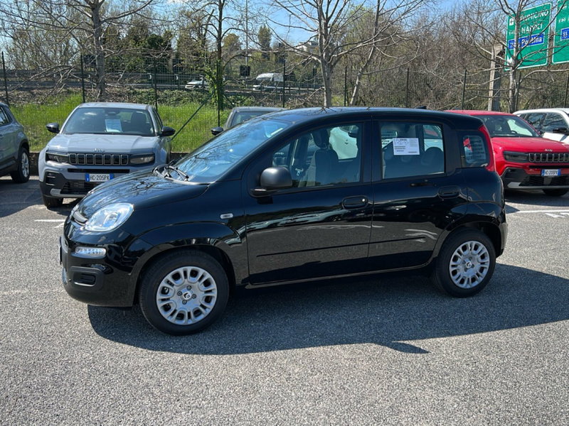 Fiat Pandina nuova a Roma (8)