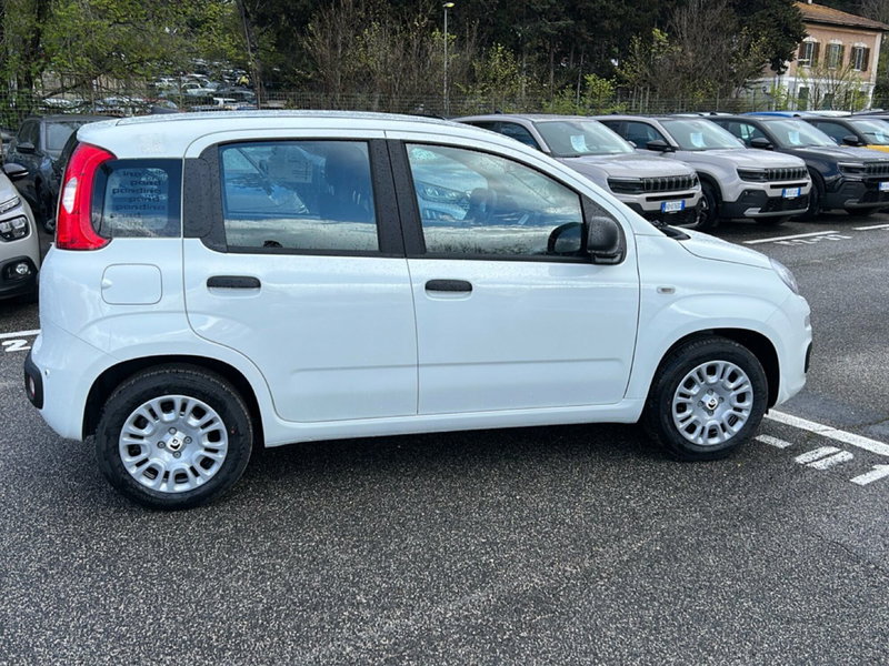 Fiat Pandina nuova a Roma (6)