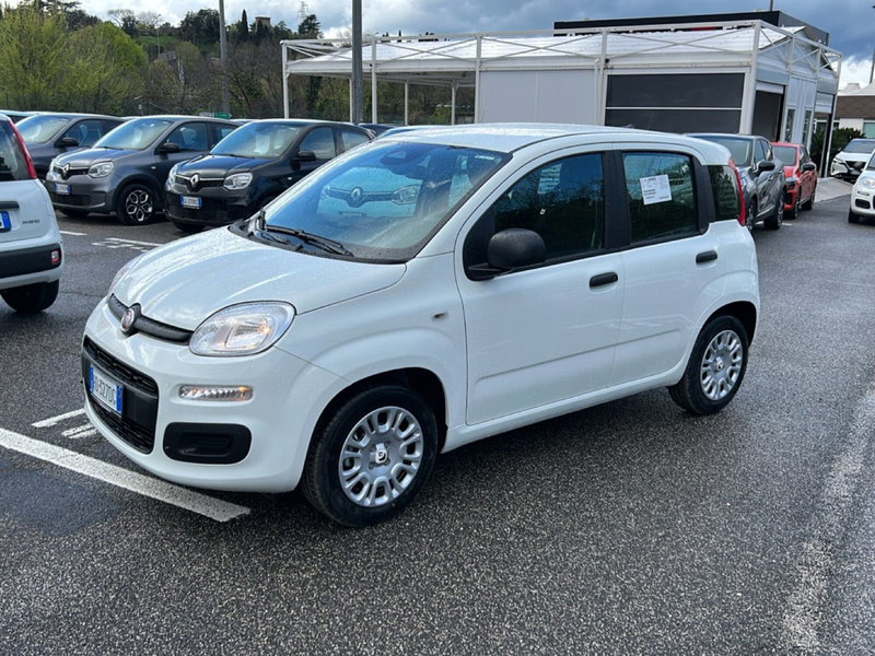 Fiat Pandina nuova a Roma (8)