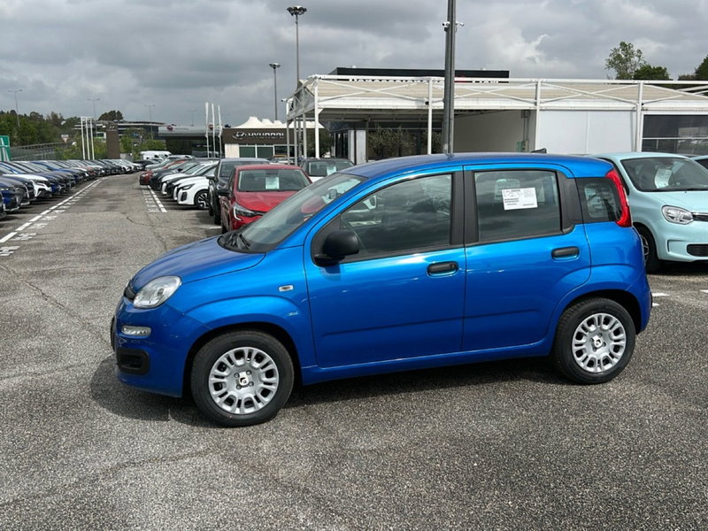 Fiat Pandina nuova a Roma (8)