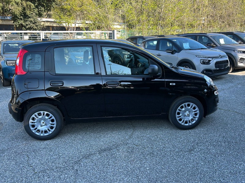 Fiat Pandina nuova a Roma (6)