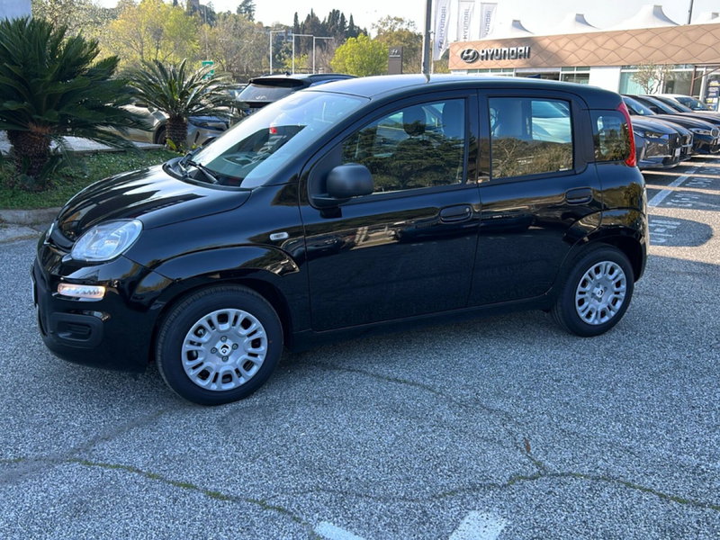 Fiat Pandina nuova a Roma (8)