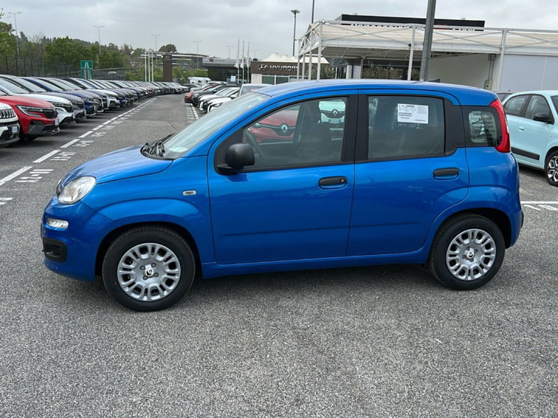 Fiat Pandina nuova a Roma (8)