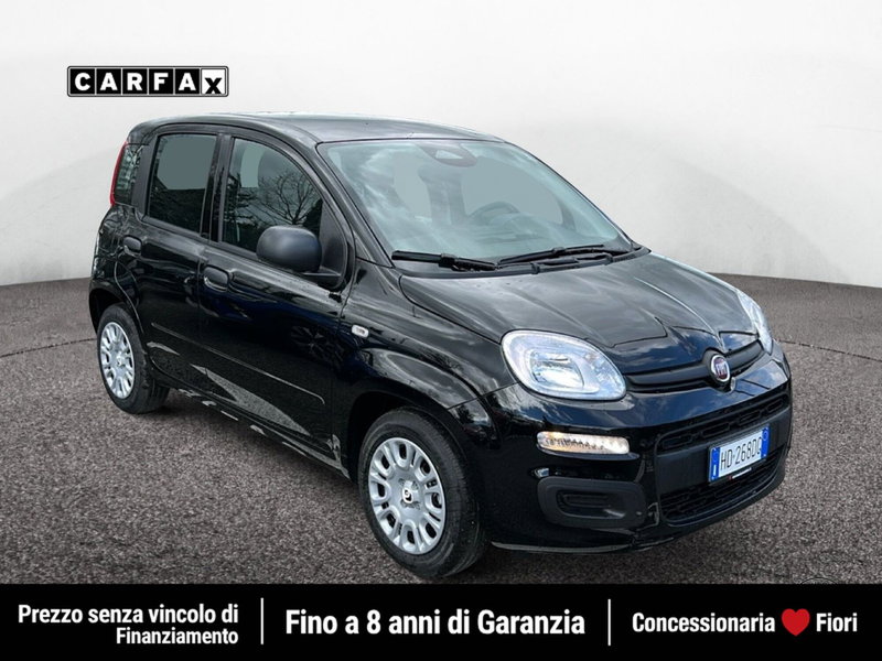 Fiat Pandina nuova a Roma (2)