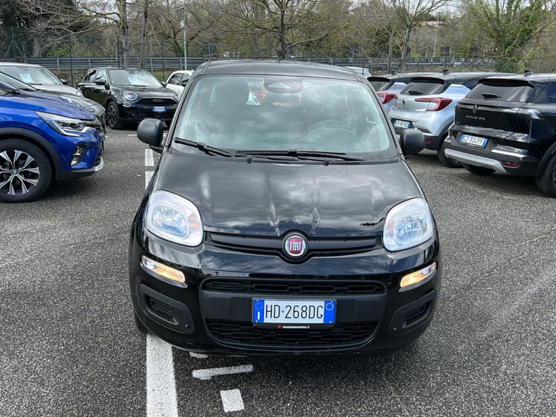 Fiat Pandina nuova a Roma (7)