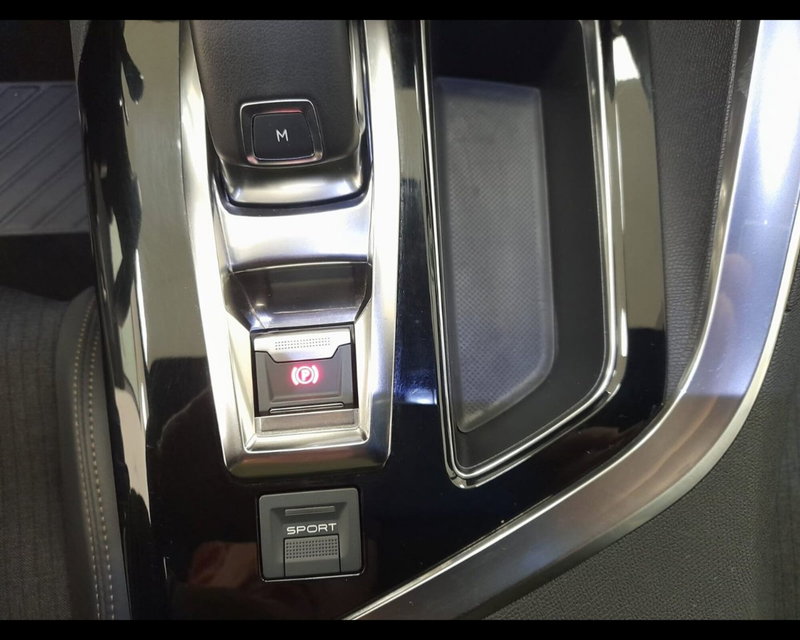 Peugeot 3008 usata a Alessandria (19)