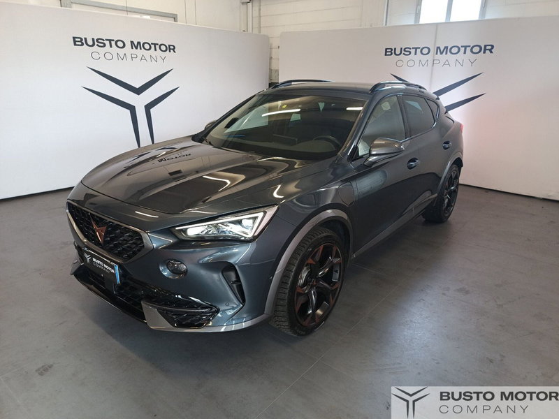 Cupra Formentor usata a Varese (3)