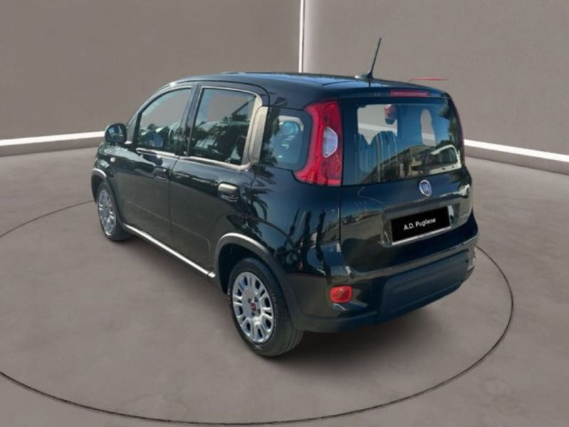 Fiat Panda usata a Caltanissetta (4)